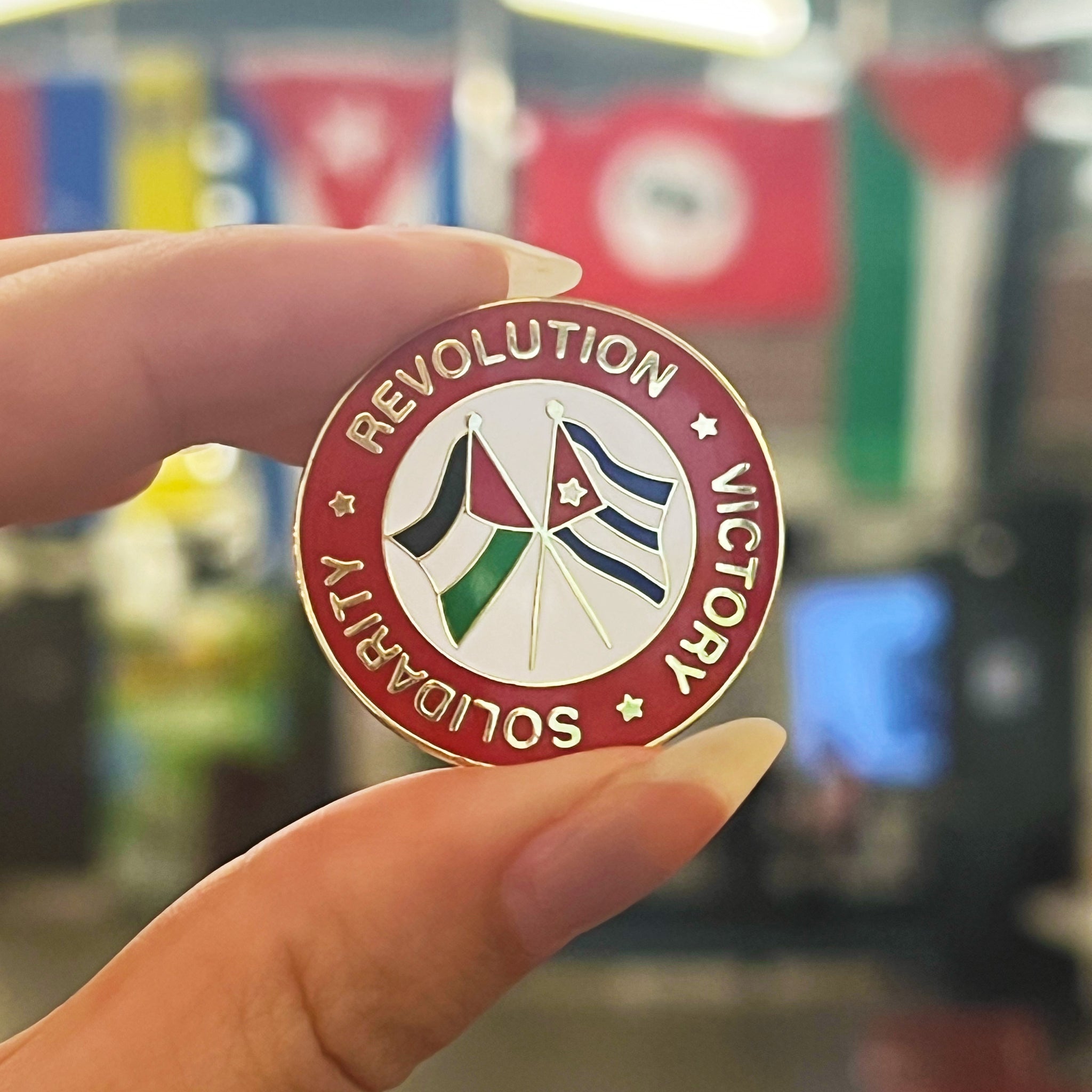 International Solidarity Pin (Fundraising for Palestine)