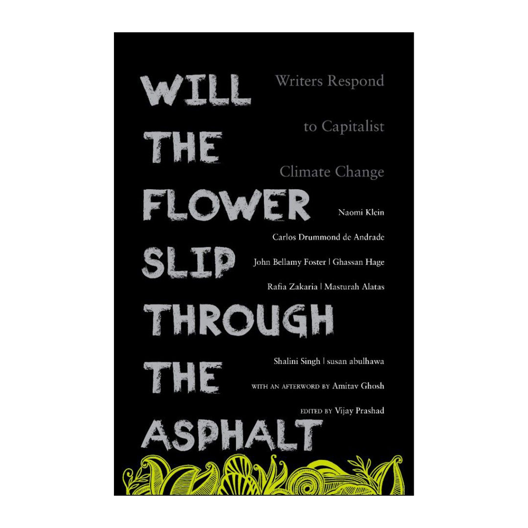 Will The Flower Slip Through the Asphalt