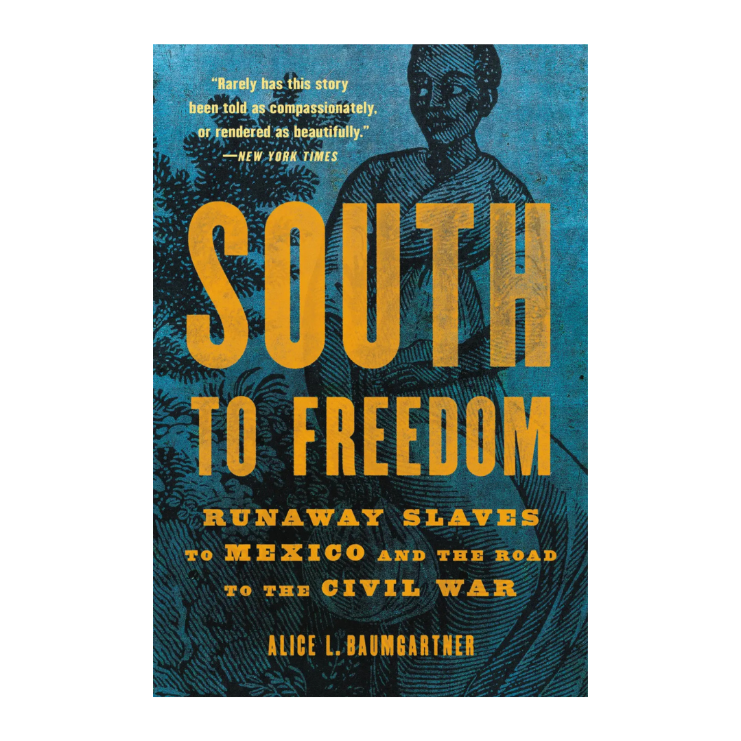 South to Freedom: Runaway Slaves to Mexico and the Road to the Civil War