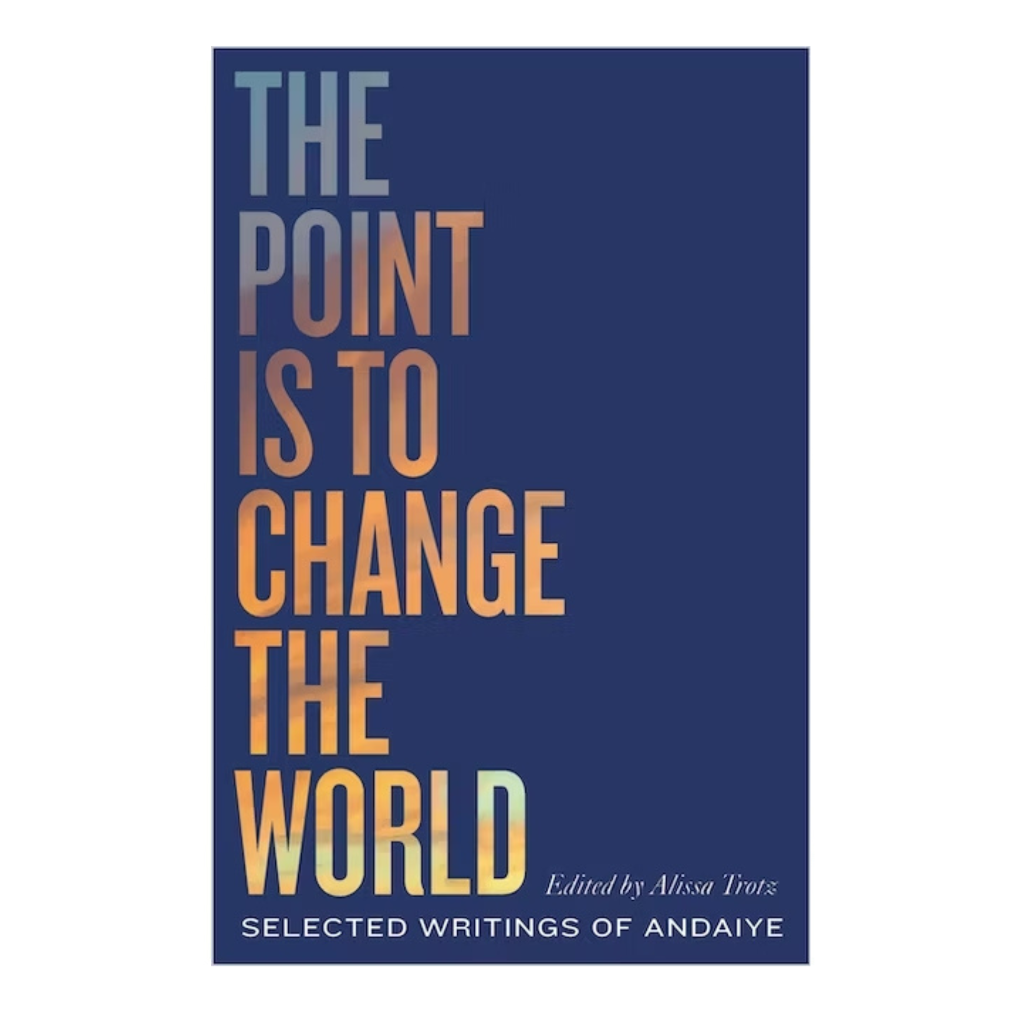 The Point is to Change the World: Selected Writings of Andaiye